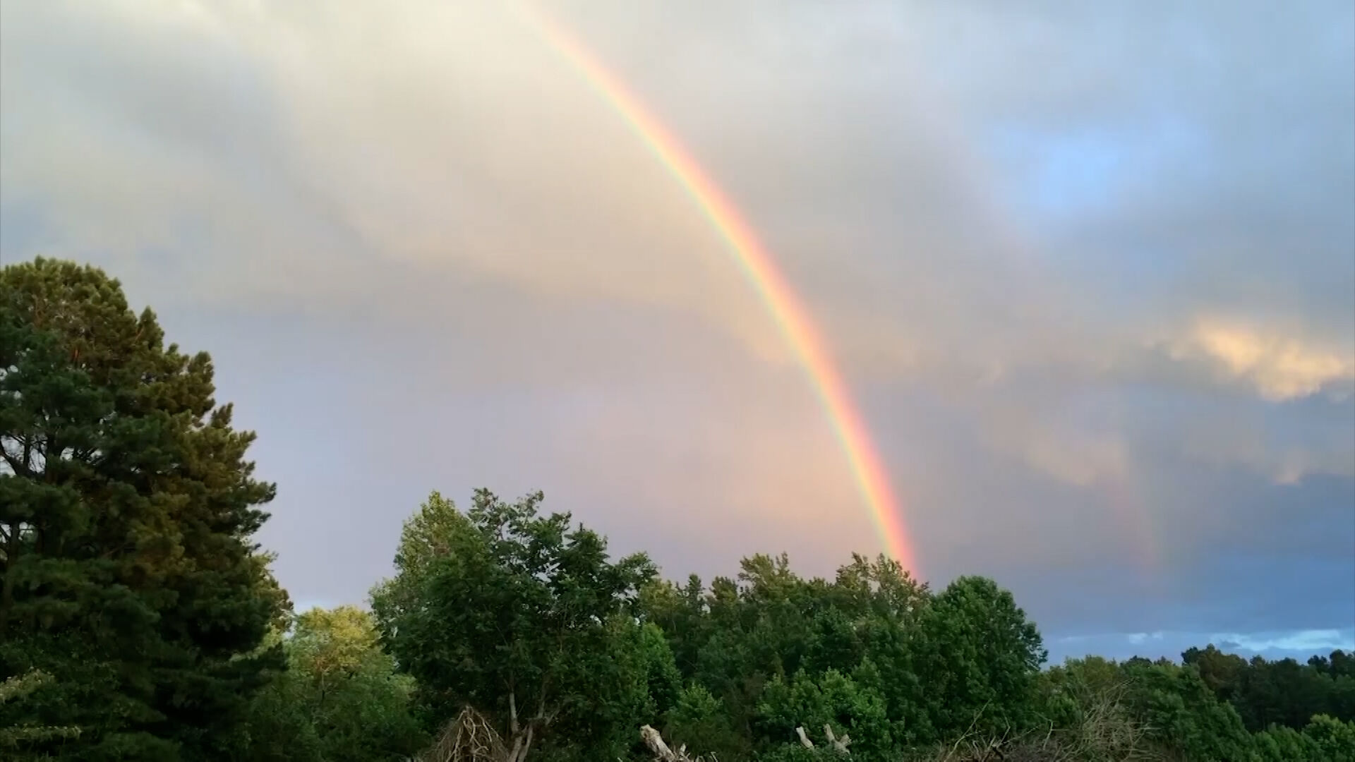 Travels With Charlie: Rainbow and Pot of Gold